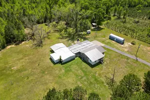 2527 Frost Ln, Chipley, FL 32428 - Photo 55