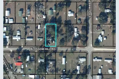 6965 Blossom Hill Road, Wewahitchka, FL 32465 - Photo 1