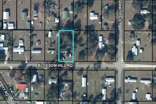 6965 Blossom Hill Rd, Wewahitchka, FL 32465 - Photo 1