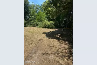 6965 Blossom Hill Road, Wewahitchka, FL 32465 - Photo 3