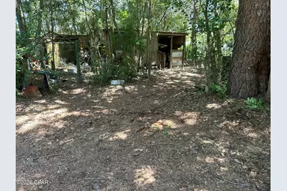 6965 Blossom Hill Road, Wewahitchka, FL 32465 - Photo 5