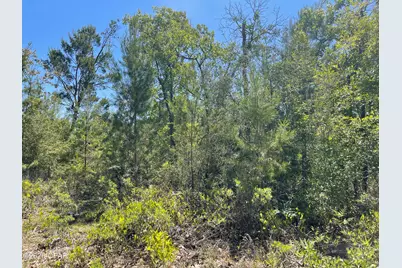 3333 Peppervine Place, Chipley, FL 32428 - Photo 9