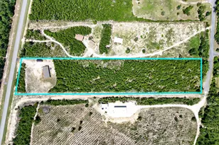 8676 NW County Road 274, Altha, FL 32421 - Photo 41