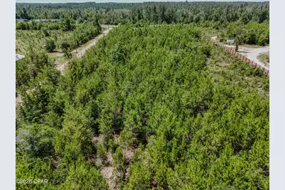 8676 NW County Road 274, Altha, FL 32421 - Photo 39