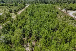 8676 NW County Road 274, Altha, FL 32421 - Photo 39