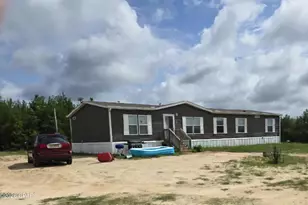 8676 NW County Road 274, Altha, FL 32421 - Photo 1