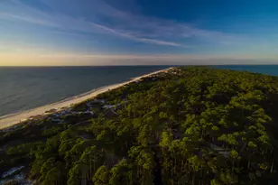 4439 Cape San Blas Rd, Port Saint Joe, FL 32456 - Photo 31