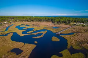 4439 Cape San Blas Rd, Port Saint Joe, FL 32456 - Photo 33