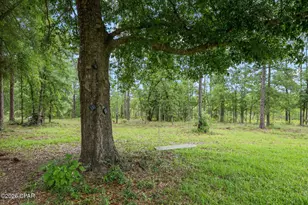 24197 NW Pine Tree Trl, Fountain, FL 32438 - Photo 63