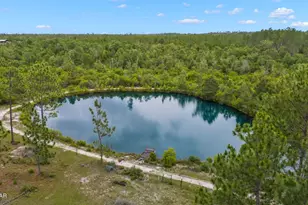 24197 NW Pine Tree Trl, Fountain, FL 32438 - Photo 69