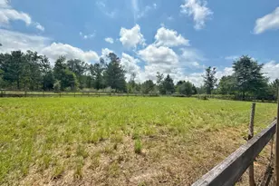 1272 Whitfield Ln, Marianna, FL 32448 - Photo 49