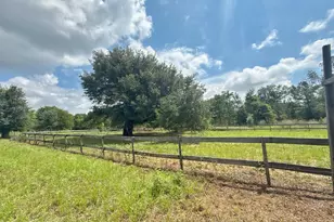 1272 Whitfield Ln, Marianna, FL 32448 - Photo 45