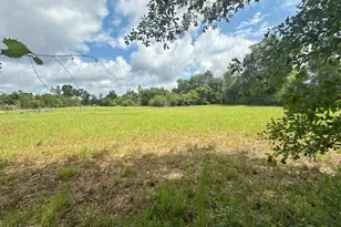 1272 Whitfield Ln, Marianna, FL 32448 - Photo 35