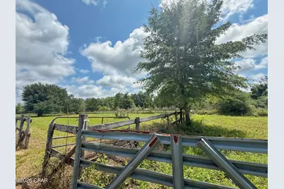 1272 Whitfield Lane, Marianna, FL 32448 - Photo 47