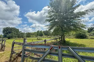 1272 Whitfield Ln, Marianna, FL 32448 - Photo 47