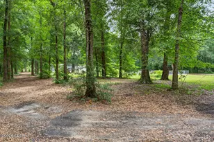 3005 Acuff Rd, Vernon, FL 32462 - Photo 43