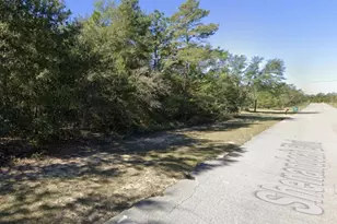 0 Shenandoah Blvd, Chipley, FL 32428 - Photo 1