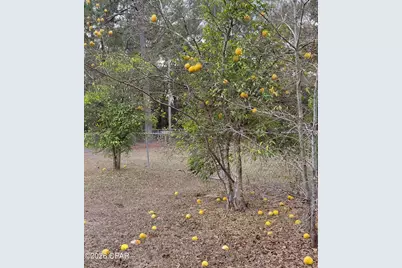 2735 Muir Lane, Bonifay, FL 32425 - Photo 19
