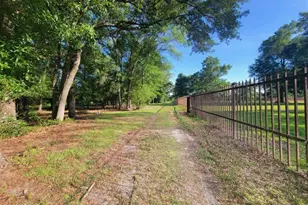 5671 Fort Rd, Greenwood, FL 32443 - Photo 43