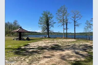 Xxx View Drive, Alford, FL 32420 - Photo 11
