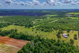 2555 Hollister Rd, Marianna, FL 32446 - Photo 65