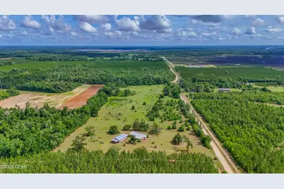 2555 Hollister Road, Marianna, FL 32446 - Photo 63