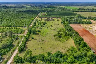 2555 Hollister Rd, Marianna, FL 32446 - Photo 67