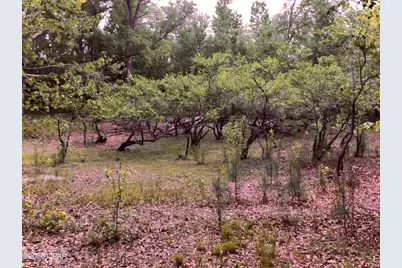 0 Little Zion Road, Sneads, FL 32460 - Photo 5