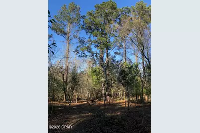 0 Little Zion Road, Sneads, FL 32460 - Photo 7