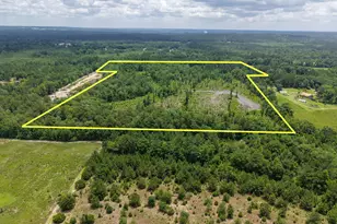 1962 Mud Hill Rd, Chipley, FL 32428 - Photo 45
