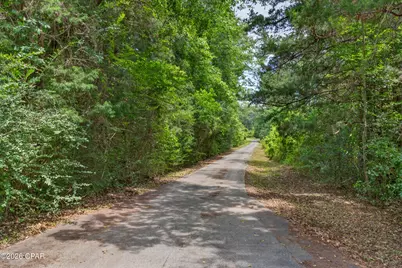 1962 Mud Hill Road, Chipley, FL 32428 - Photo 43