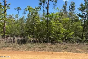 00 Tolliver Rd, Fountain, FL 32438 - Photo 1