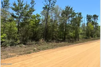 00 Tolliver Road, Fountain, FL 32438 - Photo 3