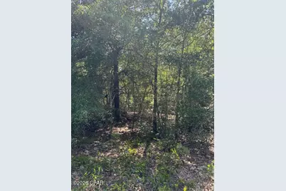 00 Pasofino Lane #M-2, Alford, FL 32420 - Photo 13