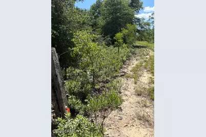 000 Pasofino Lane #B-3, Alford, FL 32420 - Photo 15