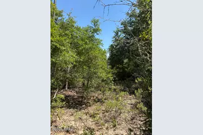 0 Pasofino Lane #M2-B3, Alford, FL 32420 - Photo 35