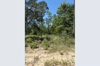 0 Pasofino Lane #M2-B3, Alford, FL 32420 - Photo 5