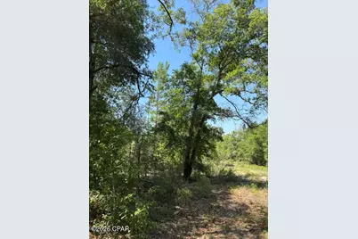 0 Pasofino Lane #M2-B3, Alford, FL 32420 - Photo 29