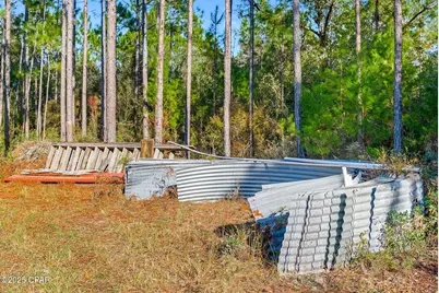 Tbd NW Nw Cr 274, Altha, FL 32421 - Photo 11