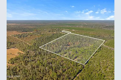 64 Acres NW County Road 274, Altha, FL 32421 - Photo 1