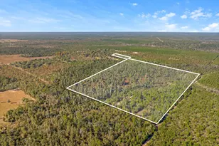 Tbd NW Nw Cr 274, Altha, FL 32421 - Photo 1
