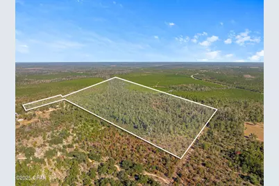 Tbd NW Nw Cr 274, Altha, FL 32421 - Photo 19