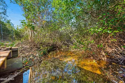 Tbd NW Nw Cr 274, Altha, FL 32421 - Photo 5