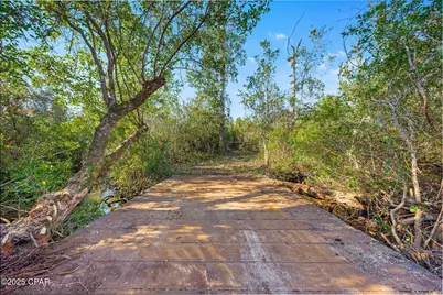 Tbd NW Nw Cr 274, Altha, FL 32421 - Photo 3