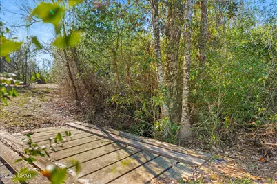 Tbd NW Nw Cr 274, Altha, FL 32421 - Photo 9