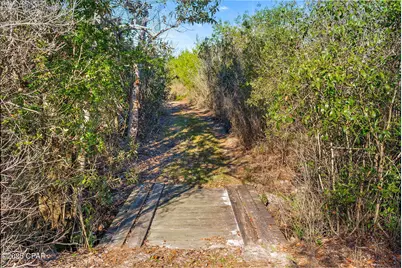 Tbd NW Nw Cr 274, Altha, FL 32421 - Photo 7
