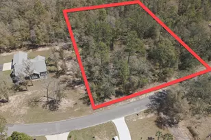 Tbd Paradise Lakes Rd, Chipley, FL 32428 - Photo 1
