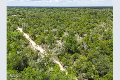 0000 Ross Road, Fountain, FL 32438 - Photo 5
