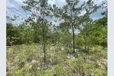 0000 Ross Road, Fountain, FL 32438 - Photo 7