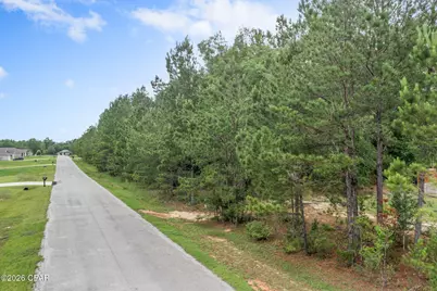 Xxx Madison Lane, Chipley, FL 32428 - Photo 11